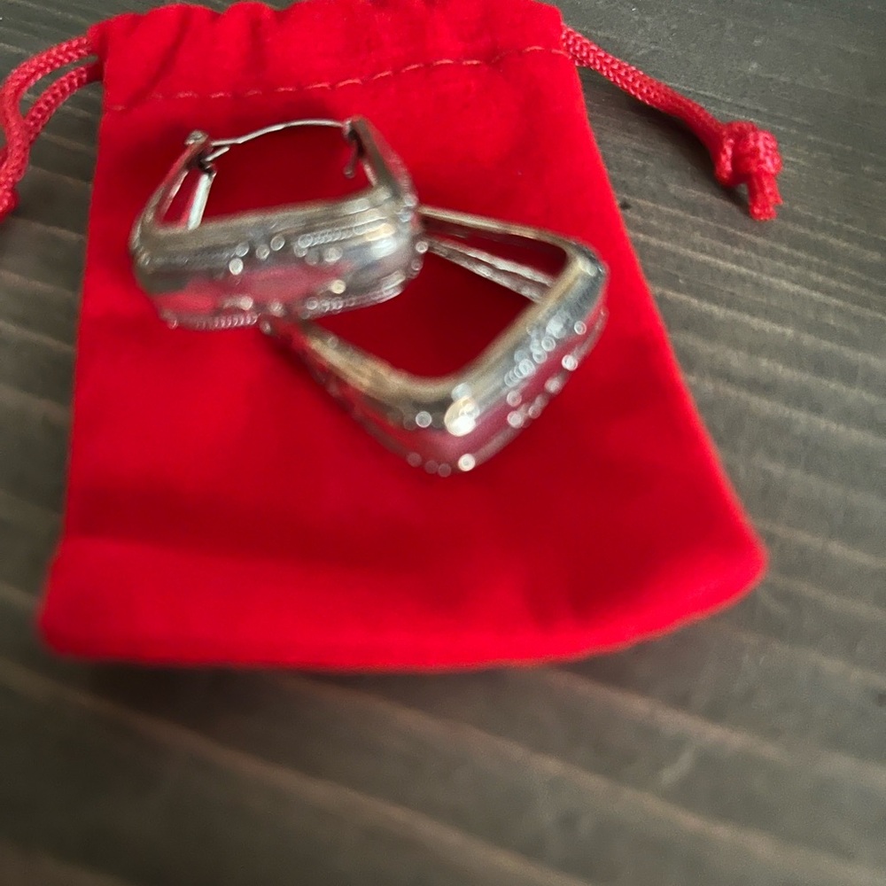 Elegant Silver Hoop Earrings